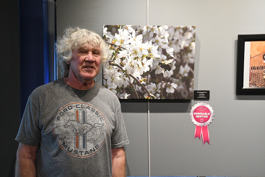 Honorable Mention: Bumble Bees and Blossoms, by Dennis LaPoint