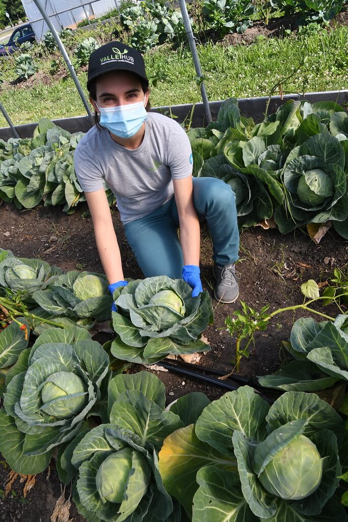 ValleyHUB worker posing with produce.