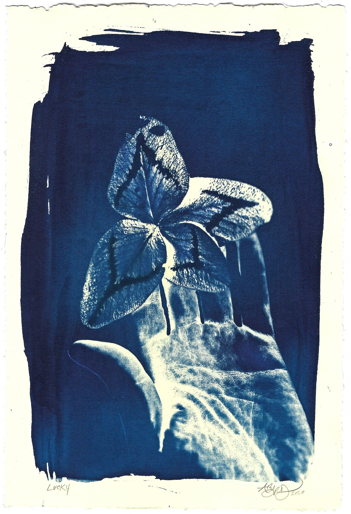 Lucky by Amanda Byrd