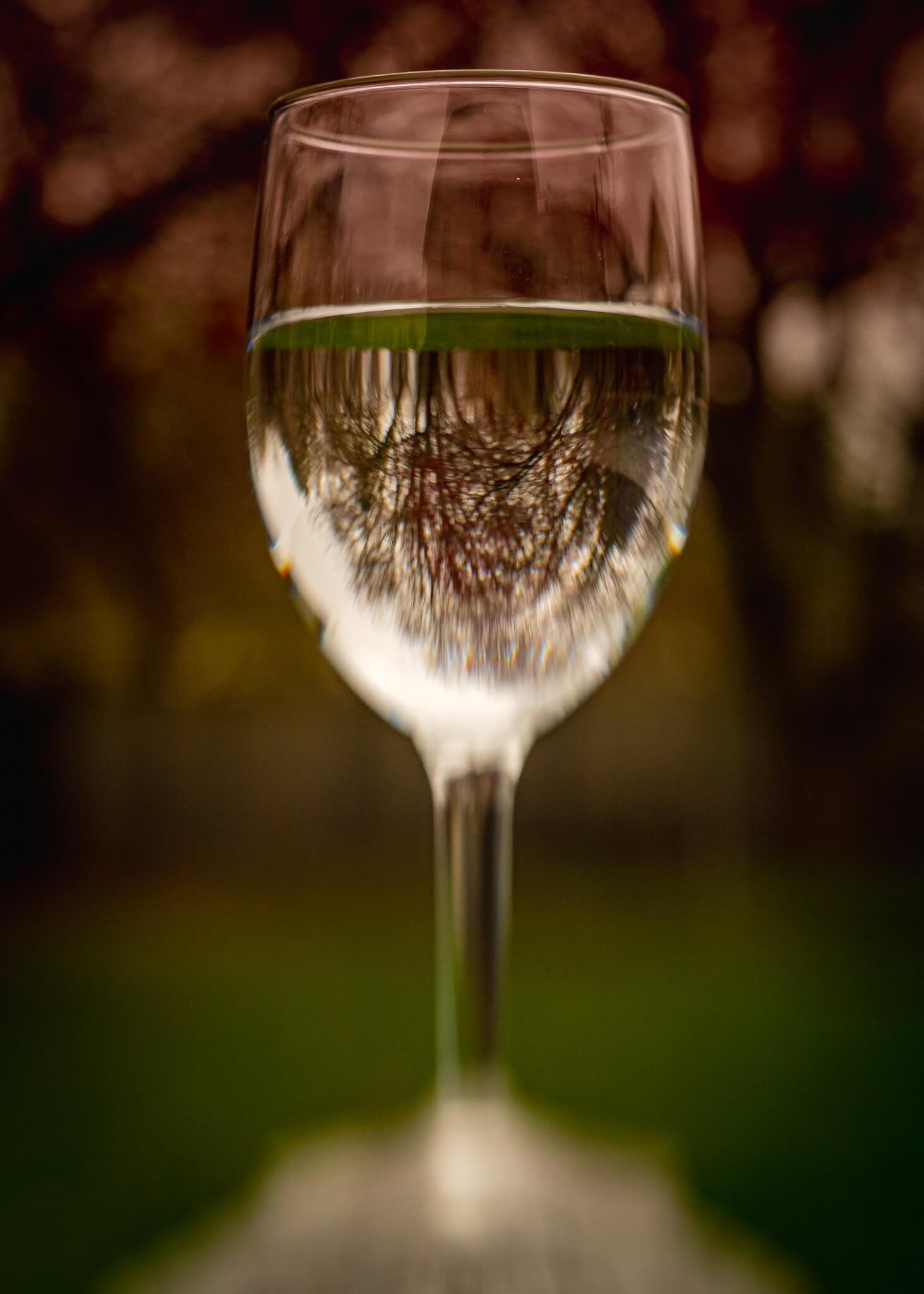 Reflection by Larry Sandt