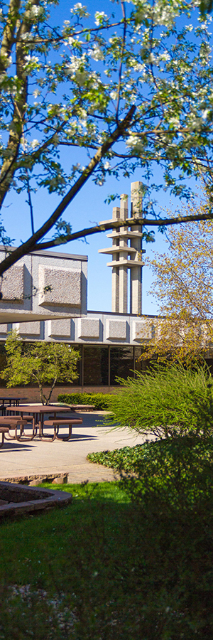 tall courtyard view