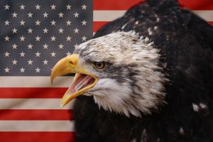 photo flag and eagle